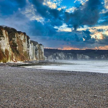 Avec Jardinet Sans Vis A Vis Plein Centre Ville Au Rdc 350M De La Plage Dieppe Buitenkant foto